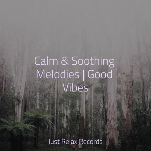 Misty Zephyr cover art
