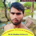 Dil Ki Dhadkan M Reva Li (Original)