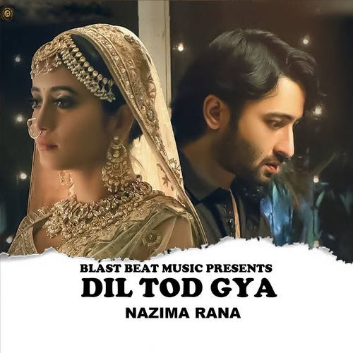 Dil Tod Gya