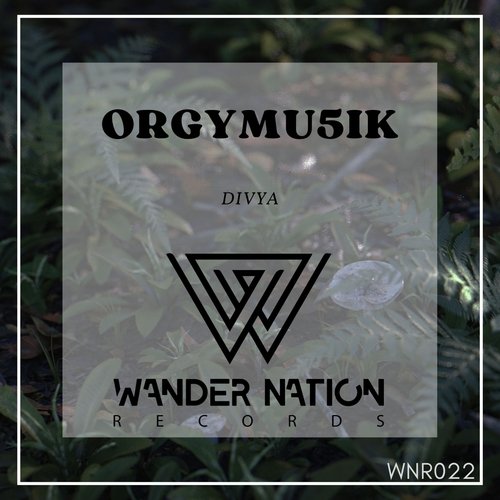 Divya cover art