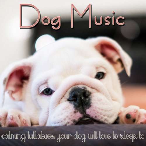 Dog Music: Calming Lullabies Your Dog Will Love to Sleep To_poster_image