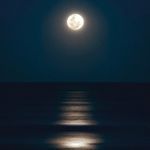 Elegy from Silvered Night