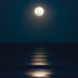 Elegy from Silvered Night