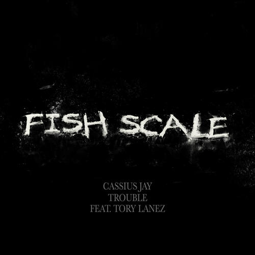 Fish Scale