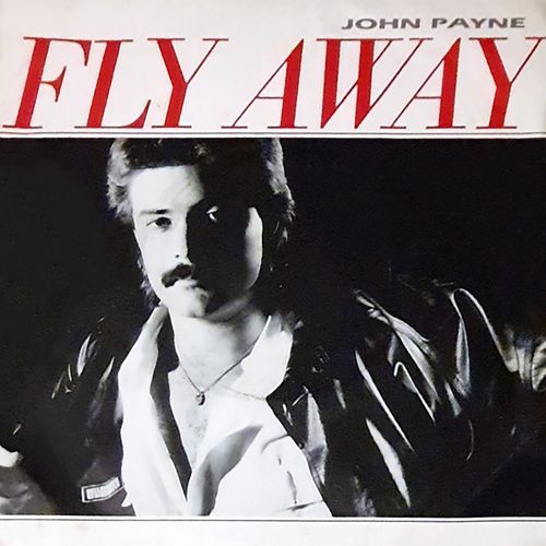 Fly Away_poster_image