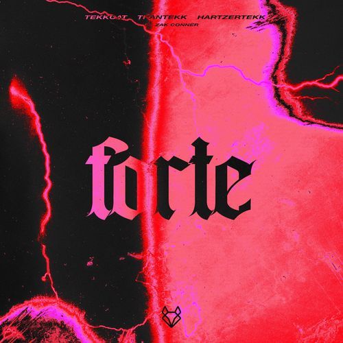 Forte (feat. Zak Conner)
