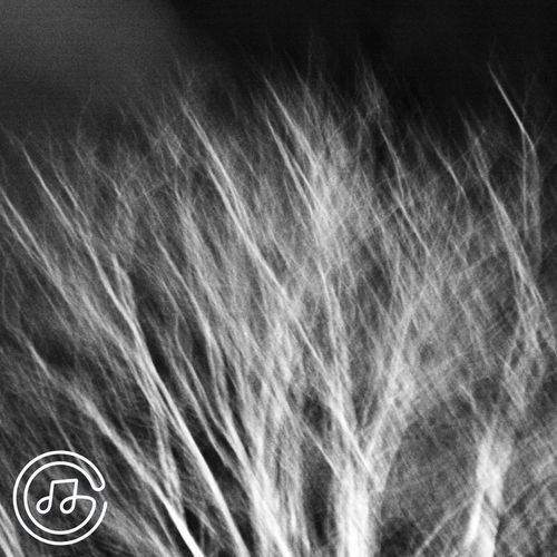 Going Back And Trembling