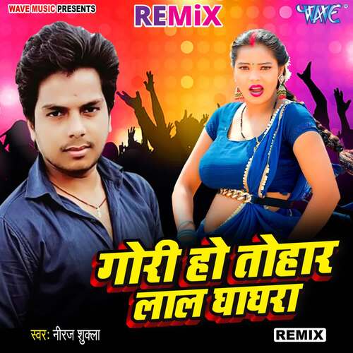 Gori Ho Tohar Lal Ghaghara - Remix