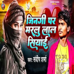 Jinagi Par Marlu Lal Siyaai