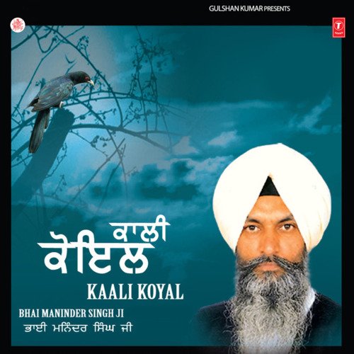 Kaali Koyal Vol-7