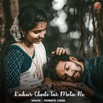 Kabar Chode Tai Mola Re