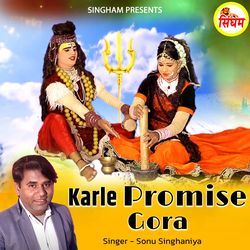 Karle Promise Gora