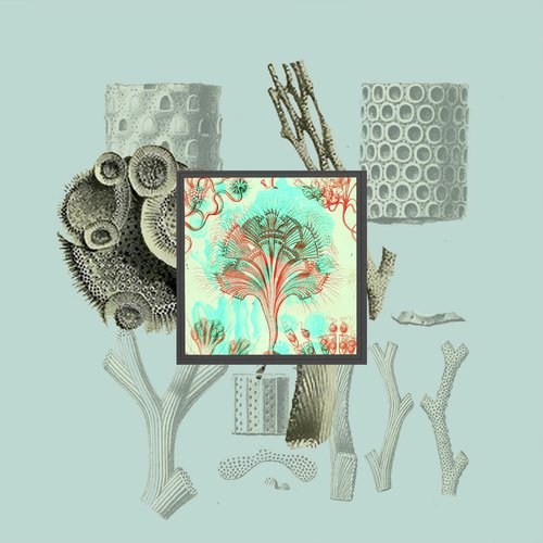 Collective cover art