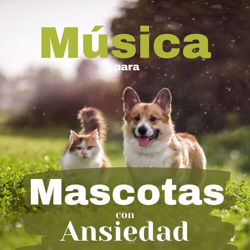 Relajar Mascotas cover art