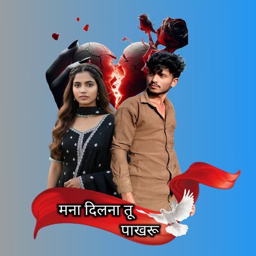 Mana Dil Na Tu Pakharu