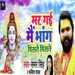 Mar Gayi Bhang Me Piste Piste