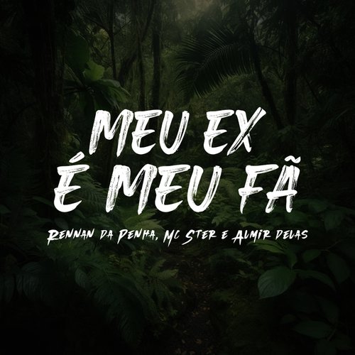 Meu Ex É Meu Fã_poster_image