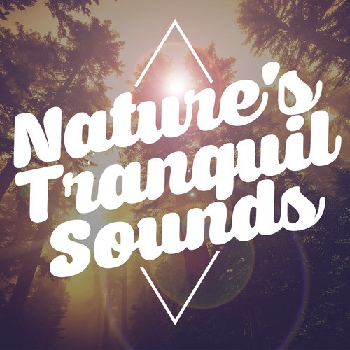 Nature&#039;s Tranquil Sounds_poster_image