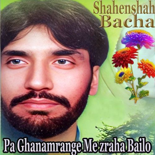 Pa Ghanamrange Me zraha Bailo