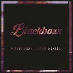 Pieces (Radio Mix)