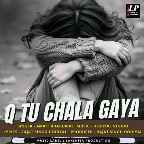 Q Tu Chala Gaya