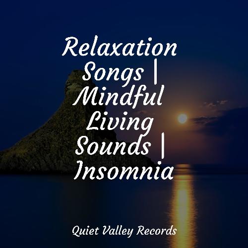 Relaxation Songs | Mindful Living Sounds | Insomnia