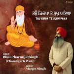 Tau kirpa te sukh paya