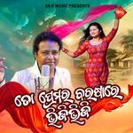 To Premara Barashare Bhiji Bhiji