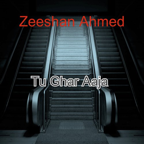 Zeeshan Ahmed