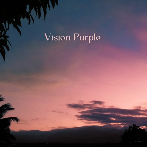 Vision Purple, Vol. 1_poster_image