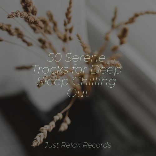 50 Serene Tracks for Deep Sleep Chilling Out