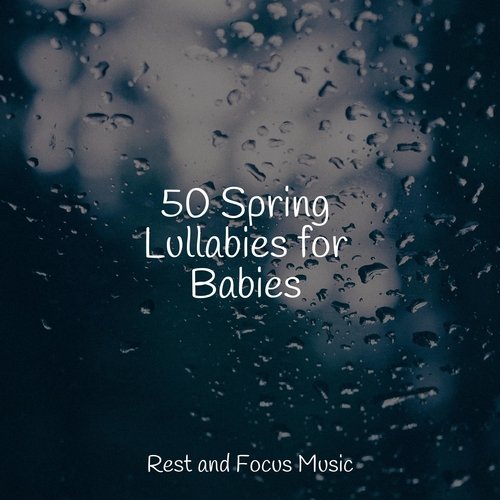 Pure Zen cover art