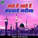 Aate Hai Aate Hai Sarkare Madeena artwork