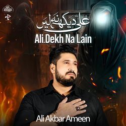 Ali Dekh Na Len