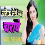 Bateu Tero Revad Chrave