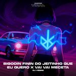 Bigodin finin do jeitinho que eu quero, vai vai meceta (feat. CAMPING VIRAL)
