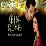 Bin Roye
