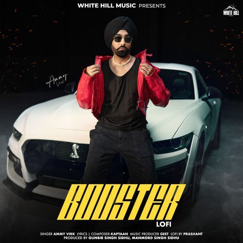 Booster Lo-Fi