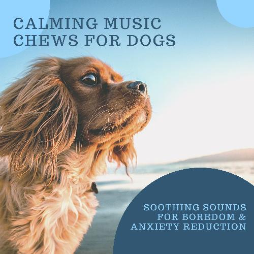 Dog Bedtime cover art
