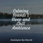 Calm Sea Breeze