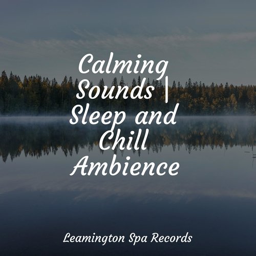 Calming Sounds | Sleep and Chill Ambience