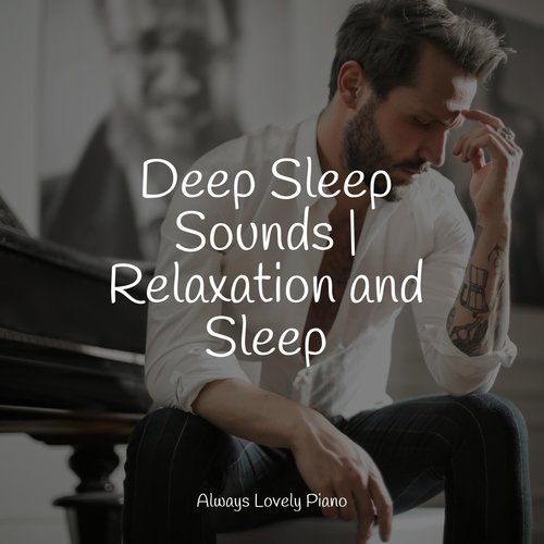 Deep Sleep Sounds | Relaxation and Sleep