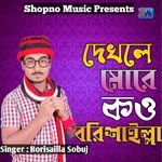 Dekhle More Kou Borisailla