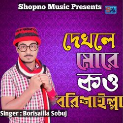 Dekhle More Kou Borisailla