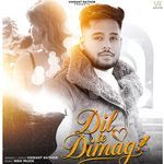 Dil Te Dimag