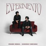 Experimento