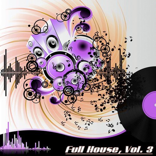 Full House, Vol. 3 (The Many Sounds of House Music)