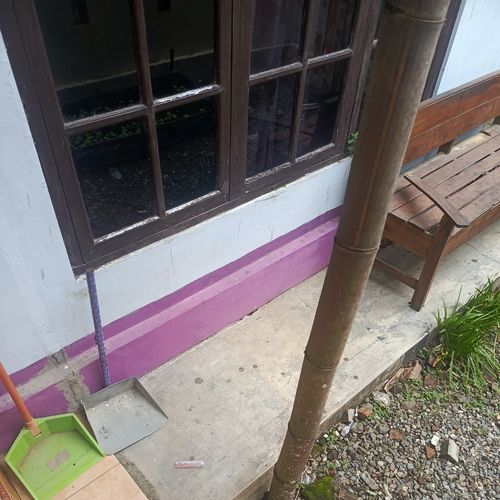 Hantu rimba