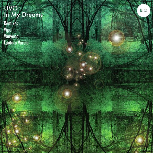 In My Dreams (Vipul Remix)