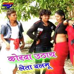 Korwa Uthai Leta Balmu